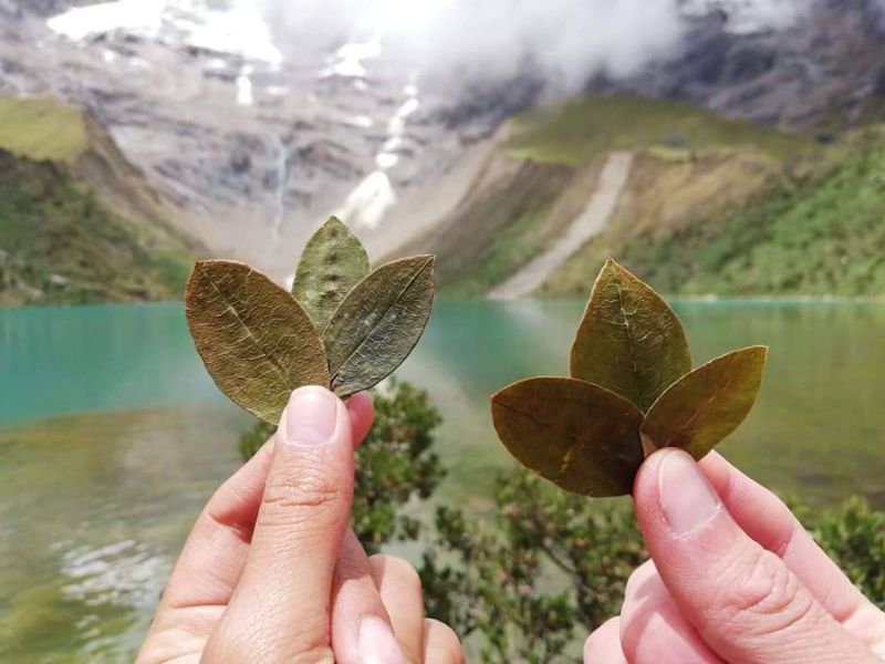 Cusco City Tour, Machu Picchu & Humantay Lake 3 Days 2 Nights - 4