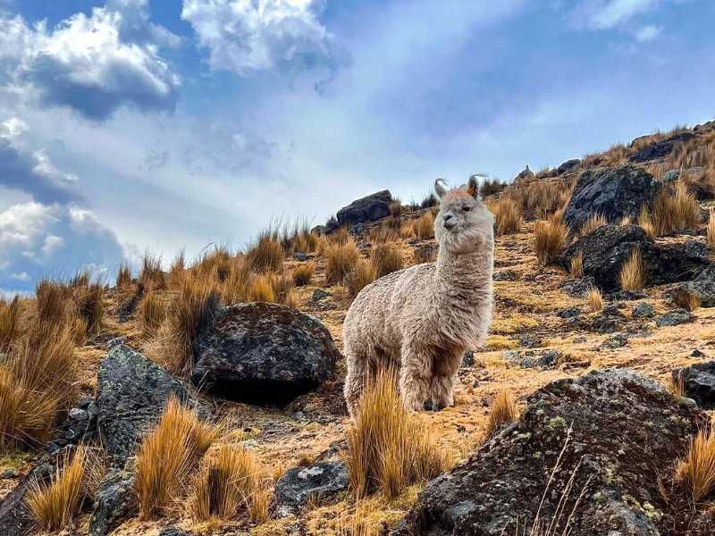 7 Lagoons Ausangate Tour 1 Day
