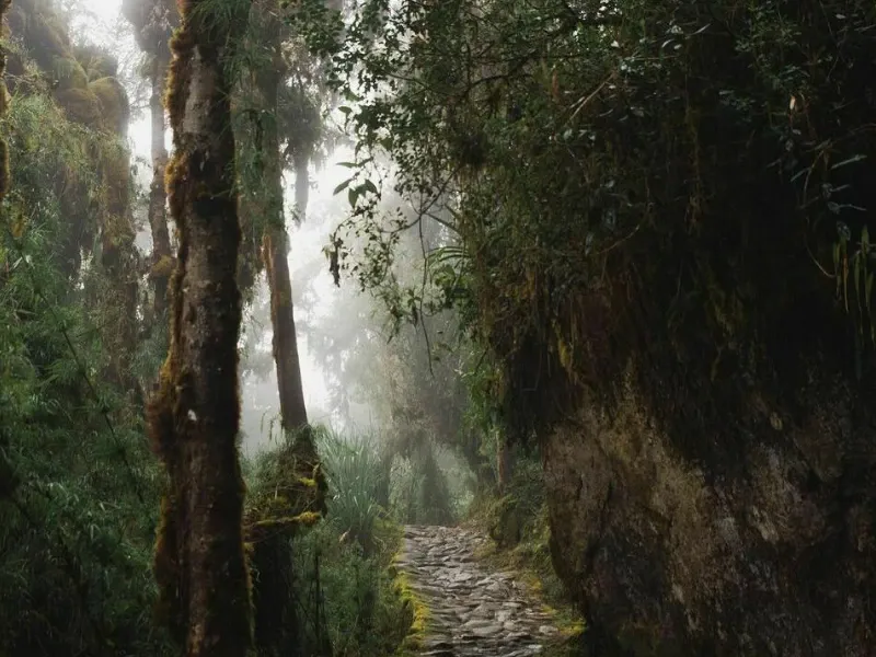 Inca Trail 4 Days / 3 Nights Tour