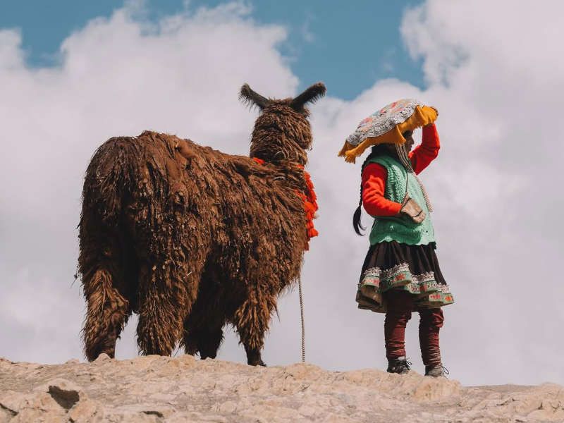 Palcoyo Rainbow Mountain Full Day Tour